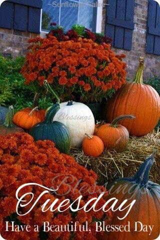 Tuesday have a blessed fall day