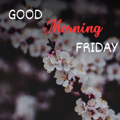 Good-Morning-Friday-