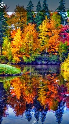 582B0306-C419-47EB-B812-F7BD7F9F4ACC
