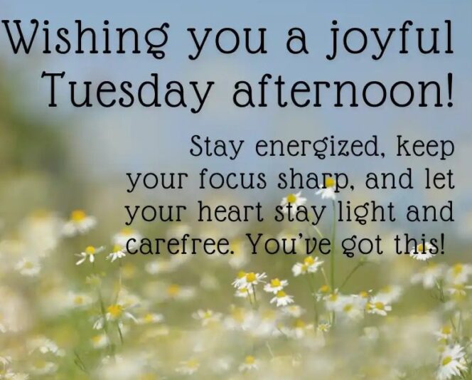 Hello Tuesday 1