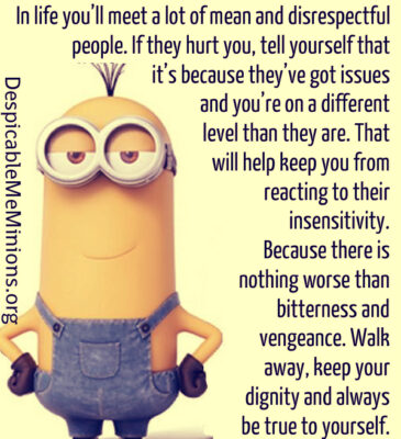 In-life-youll-meet-a-lot-of-mean-people