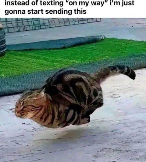 no text just this56192_n