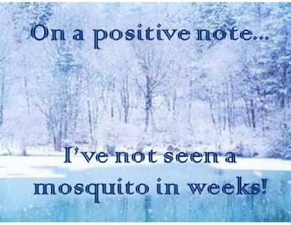 joke 2023 73 snow mosquitos