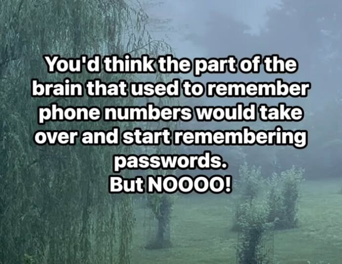 passwords