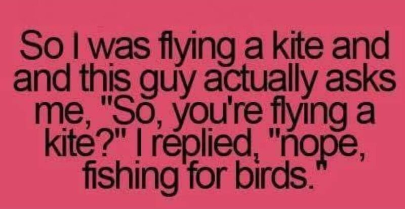 fishing for birds