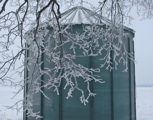FROSTY BIN EDIT_face26