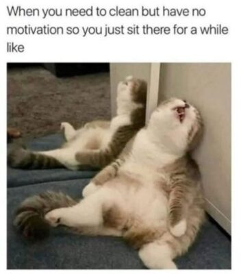 no motivation