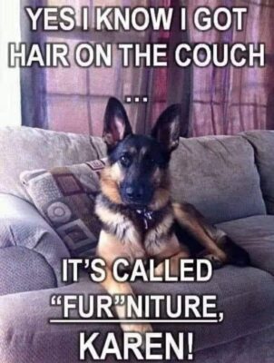 hair on couch