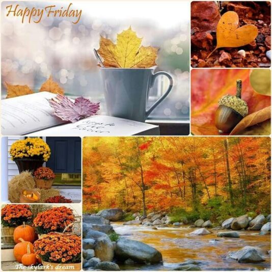 Happy Friday 3