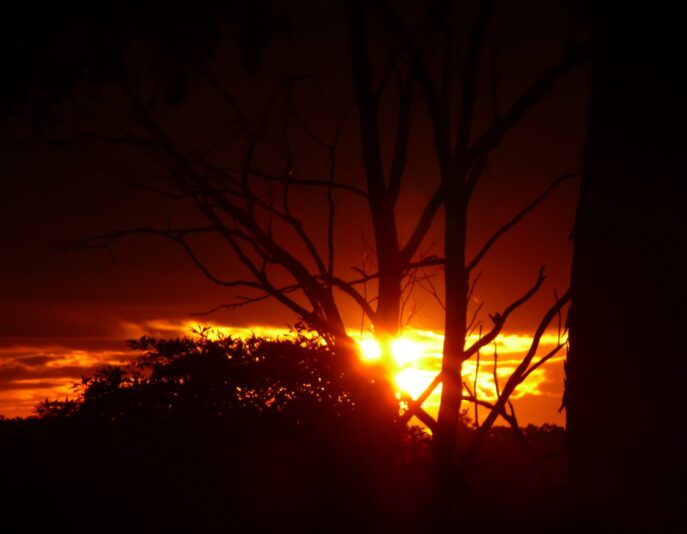 sunsets_and_sunrises_002_2