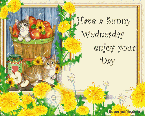 Good Morning Wednesday sunny day