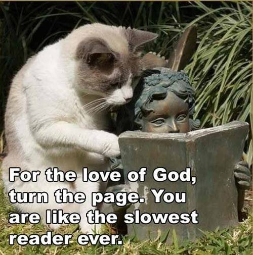 slowestreader