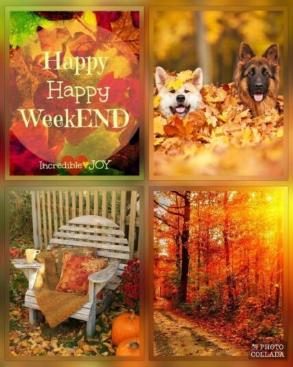 Enjoy your fall weekend