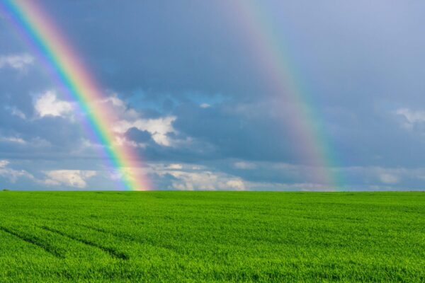 double rainbow 3