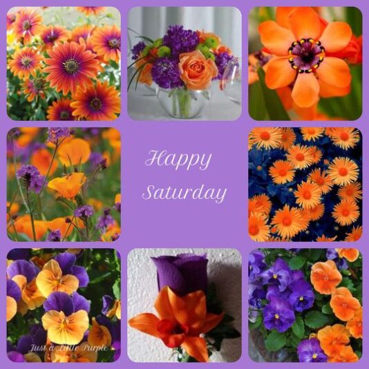 Hppy Saturday fall flowers