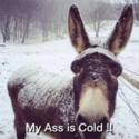 my ass is cold