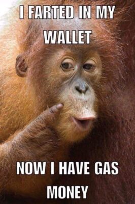 caption group fart gas money