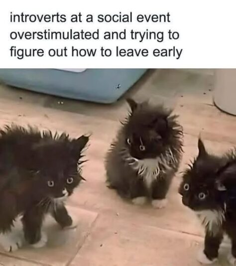 introverts