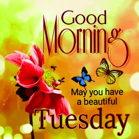 good-morning-tuesday