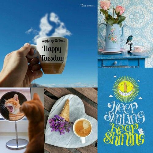 Happy Tuesday collage