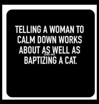 calm down baptize a cat