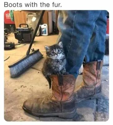 fur boots