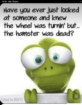 hamster