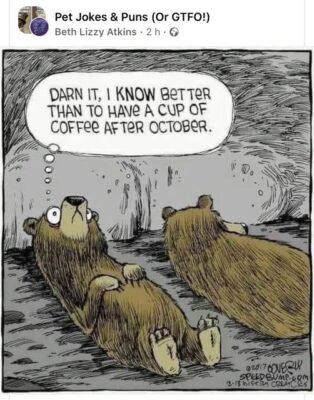 joke bears n coffee