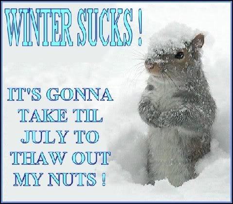Winter sucks.