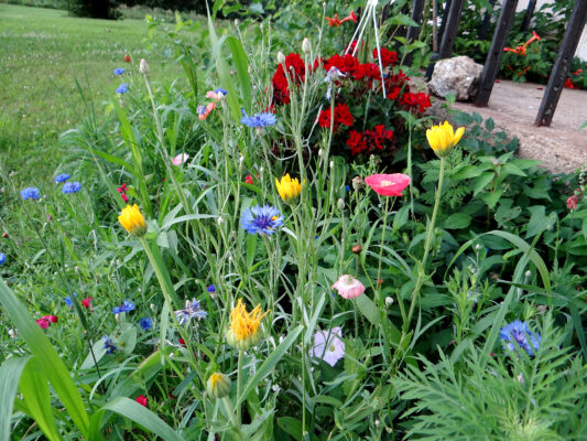 Spring Mix
