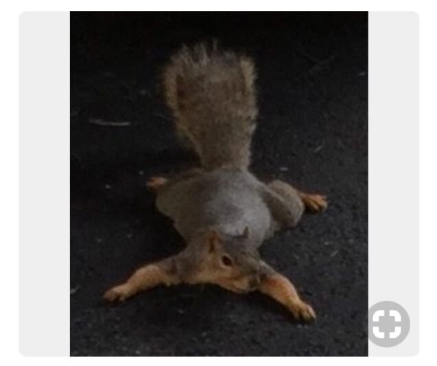 096