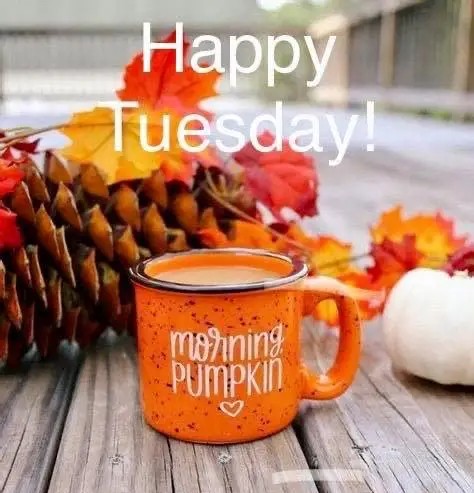 Happy Tuees day pumpkin 2