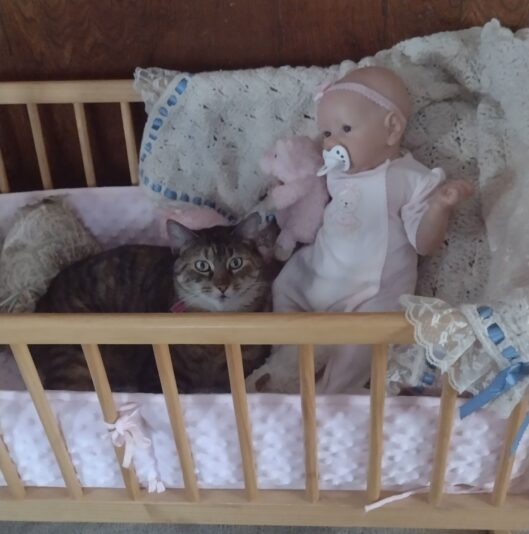 Jinxie & Hannah