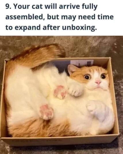cat pkg