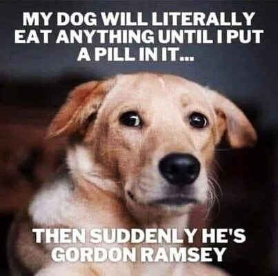 673540882_26504287352546020_1644108395469769118_n