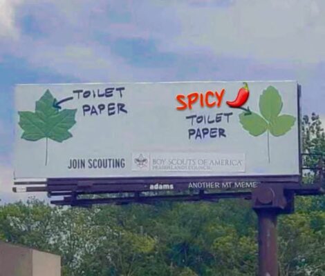 TP