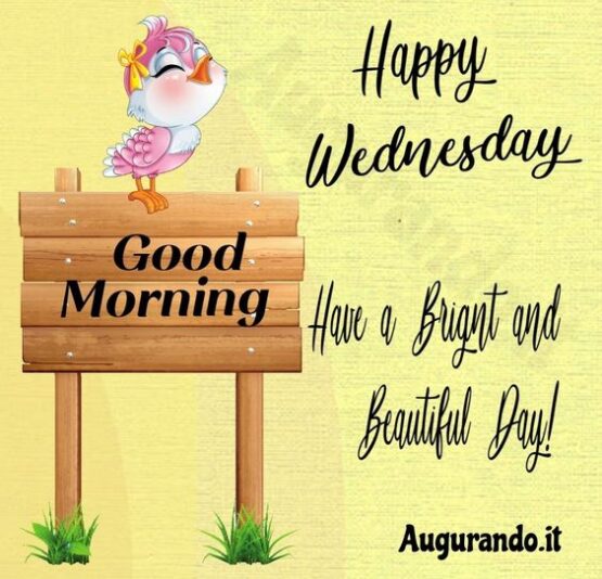 birdie happy wednesday