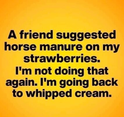 strawberries and whipped cream