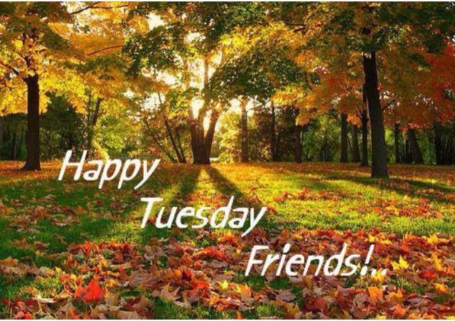 Happy Tuesday Friends Fall