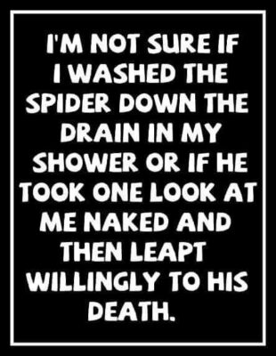 fun group spider shower