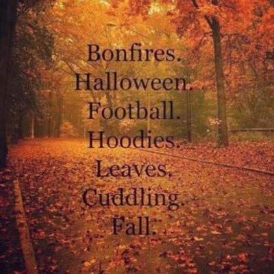 Fall-Meme-1-4161105951