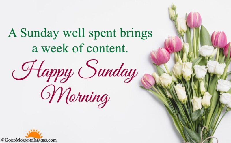 sunday well spent week content