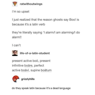 boo latin