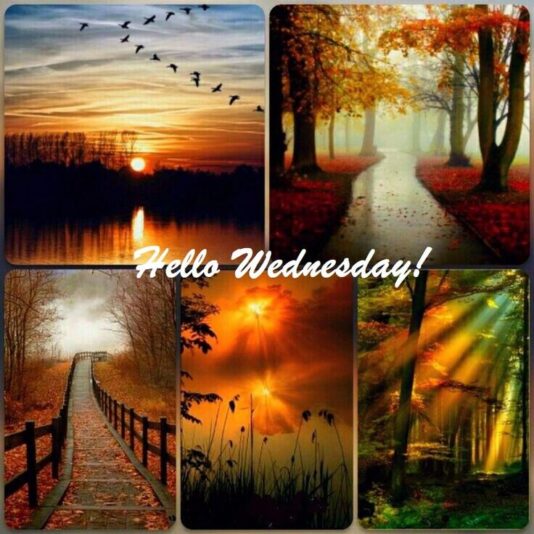 Happy Wednesday collage