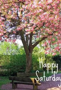Happy Saturday 1