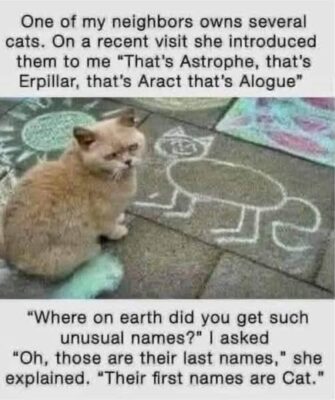 cat names