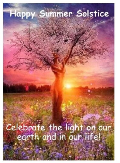 summer solstice tree