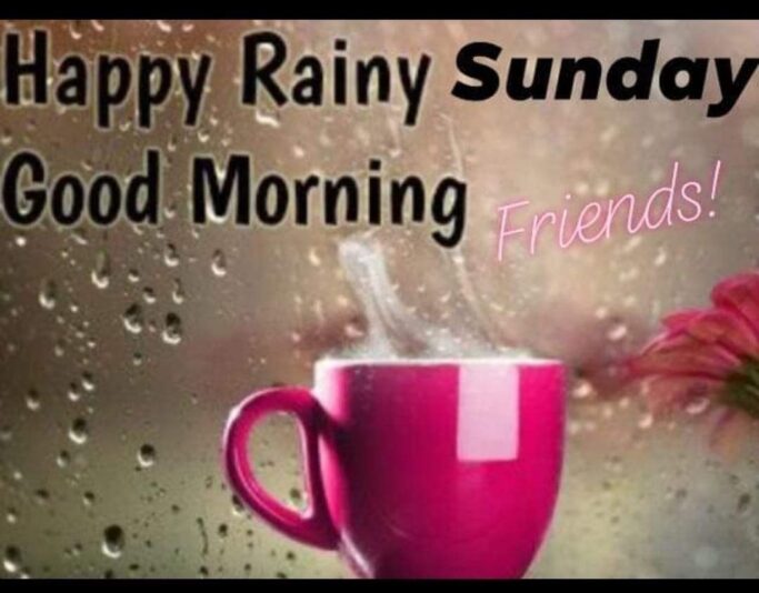Happy rainy Sunday morning