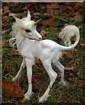 smunicorn baby