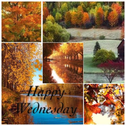 Happy Wednesday Fall